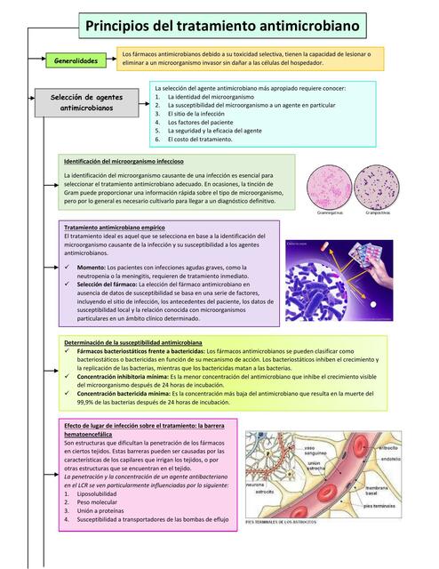 Farmacología 5