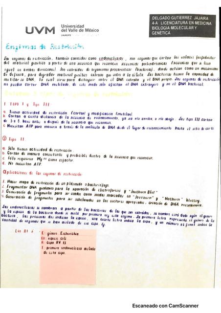 ENZIMAS DE RESTRICCION (Biología Molecular).