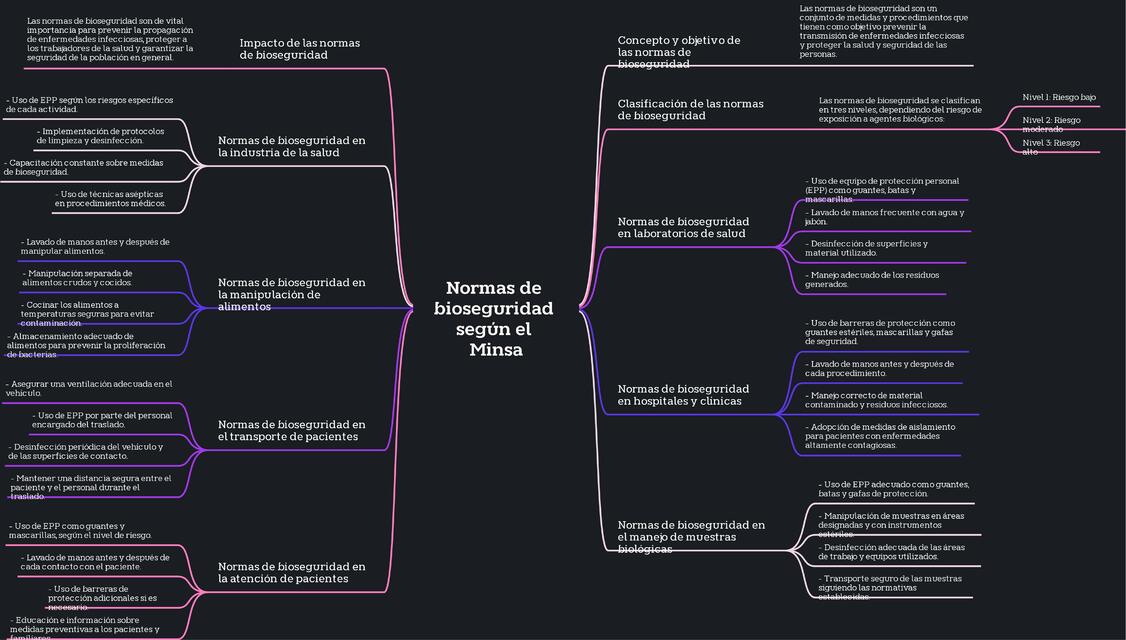 Normas de bioseguridad según el Minsa