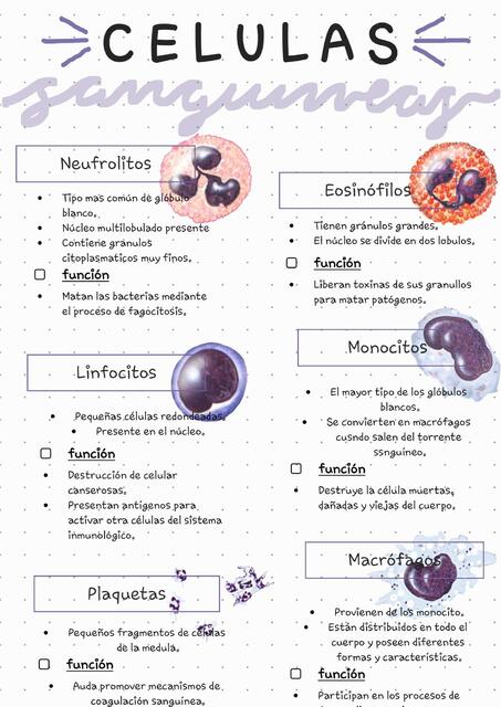 celulas sanguíneas tarea sem 6