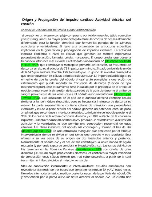 resumenelectrocorazon