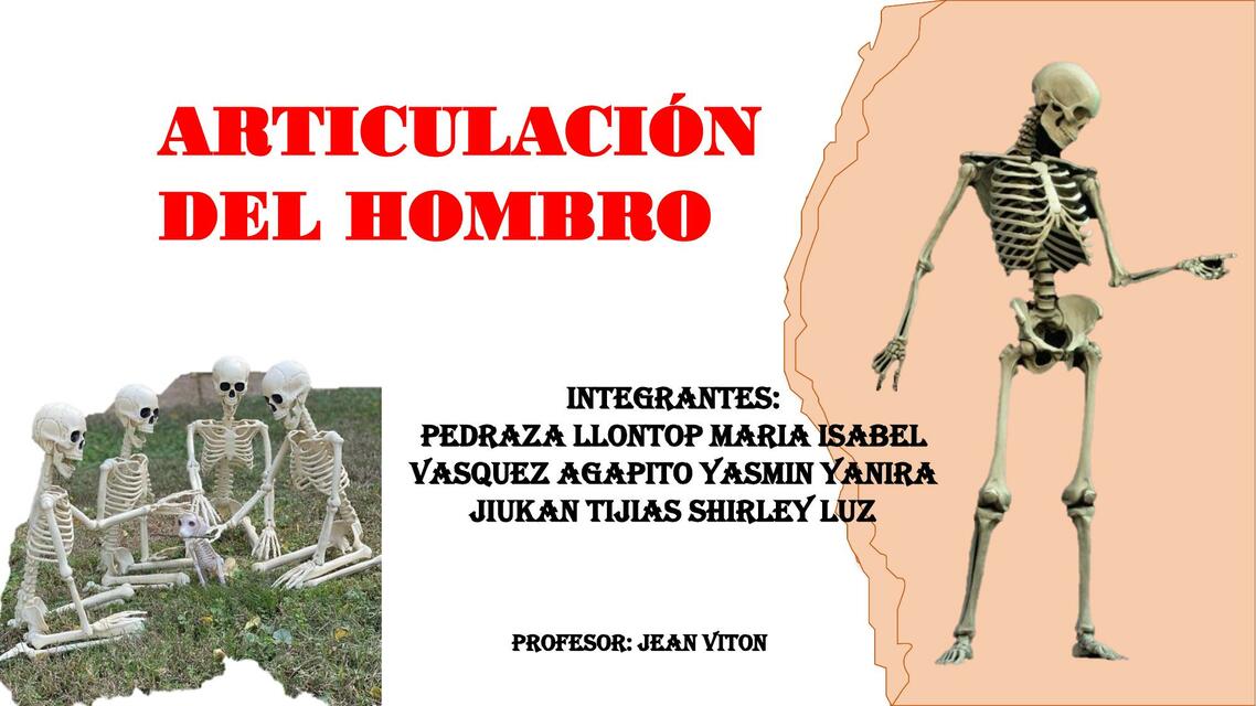 ARTICULACION DEL HOMBRO LLONTOP