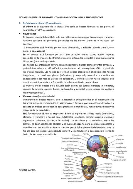 NORMAS CRANEALES MENINGES COMPARTIMIENTOSDURALES S