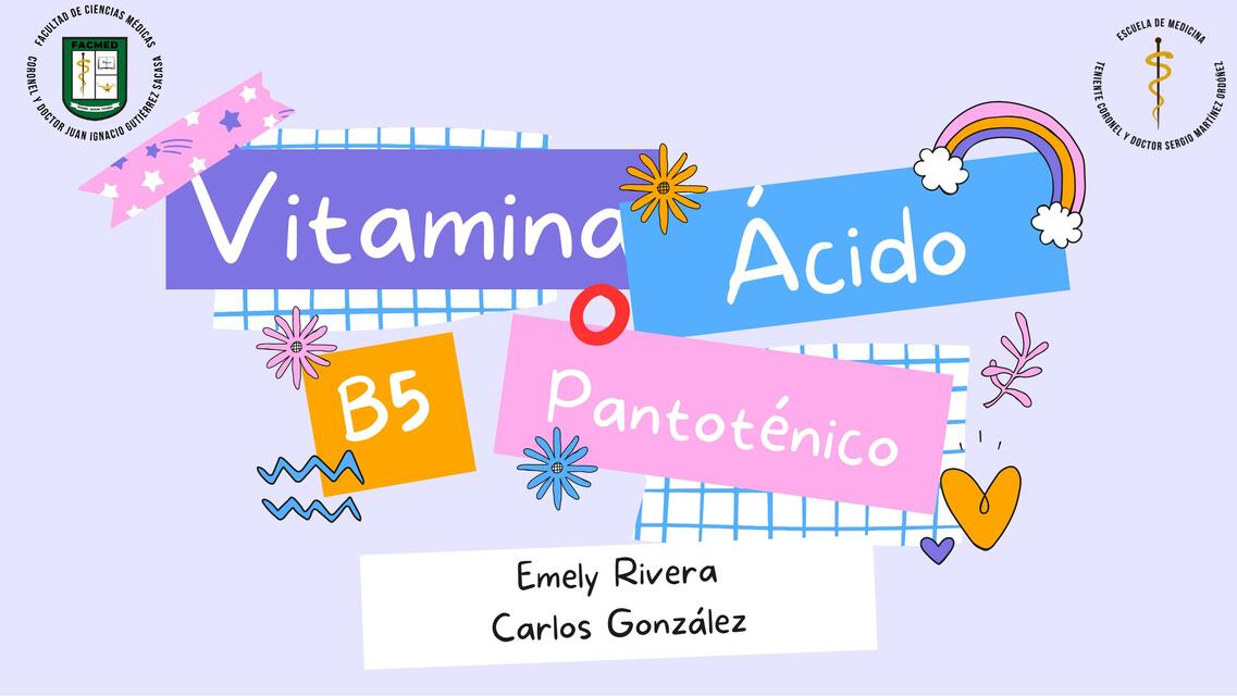 VITAMINA B5 NUTRIOLOGÍA