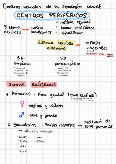 Psicofisiología sexual