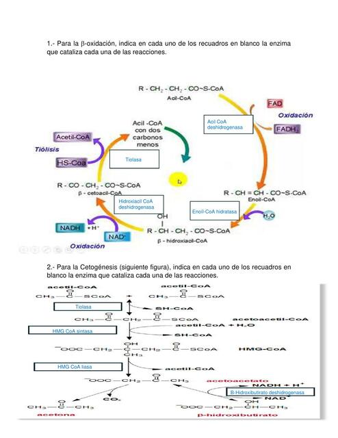 Tarea 9 BQ editado