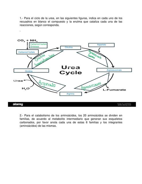 Tarea 10 BQ editado