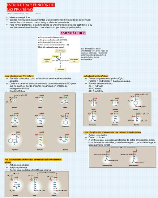 Estructura y función de las proteínas