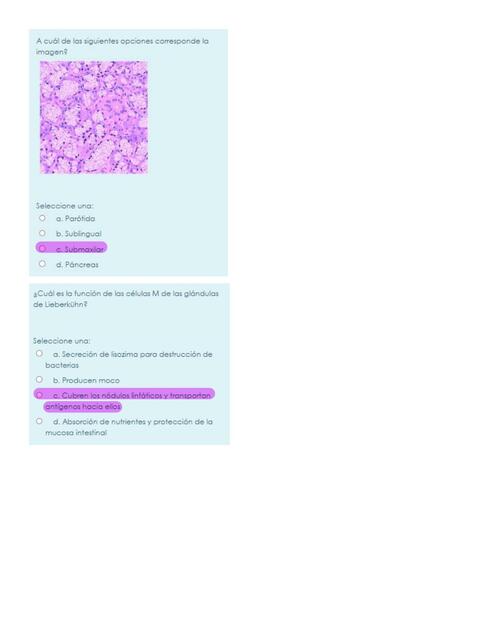 EXAMEN SEGUNDO PARCIAL DE HISTOLOGIA SEMESTRE B CO