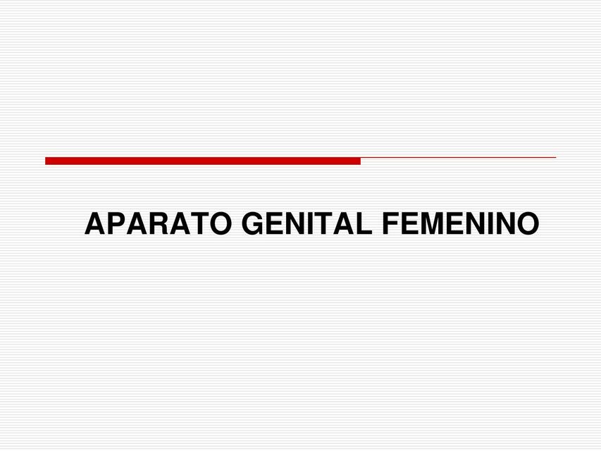 aparato genital femenino