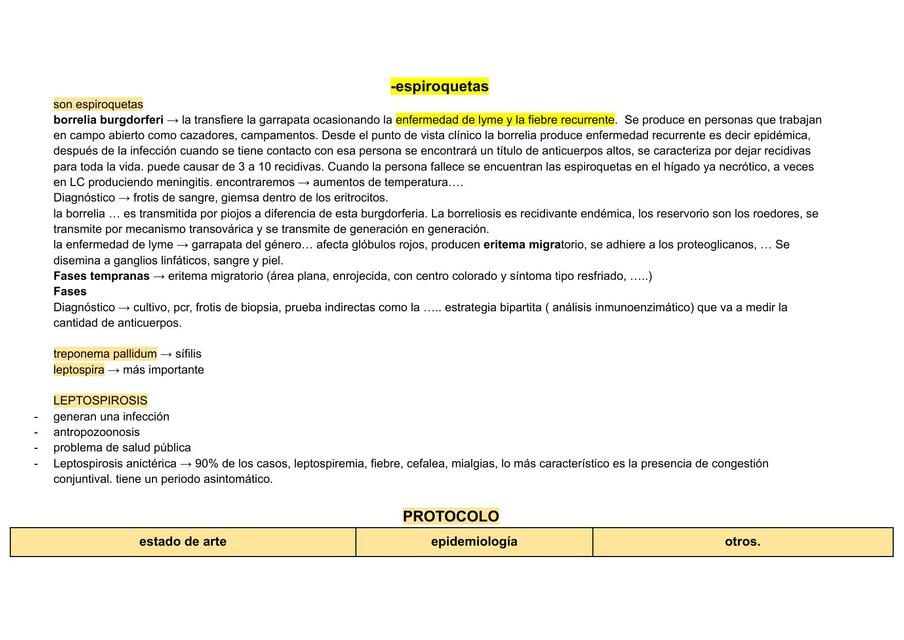 bacterias gram negativas