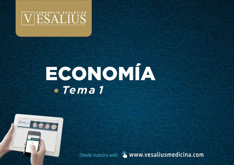 Economia 