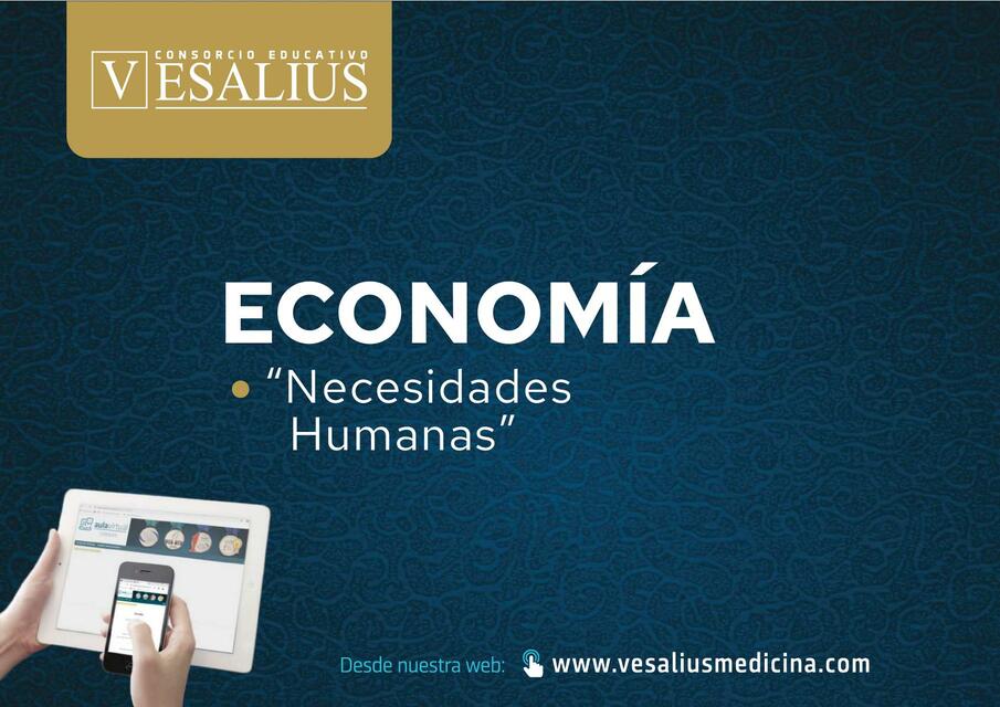 Necesidades Humanas 