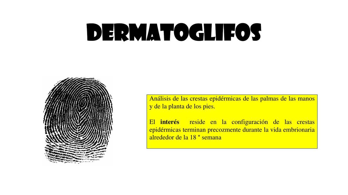 DERMATOGLIFOS 