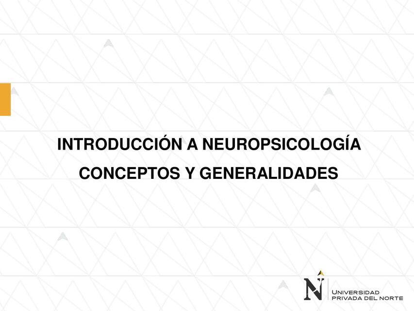 SESIÓN N5 NEUROPSICOLOGÍA DEFINICIÓN GENERALIDADES