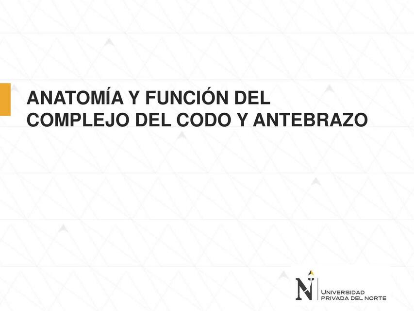 05 Anatomía y Función del Codo y Antebrazo 1