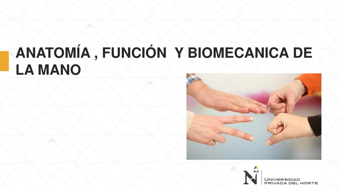 06 ANATOMIA FUNCION Y BIOMECANICA DE LA MANO