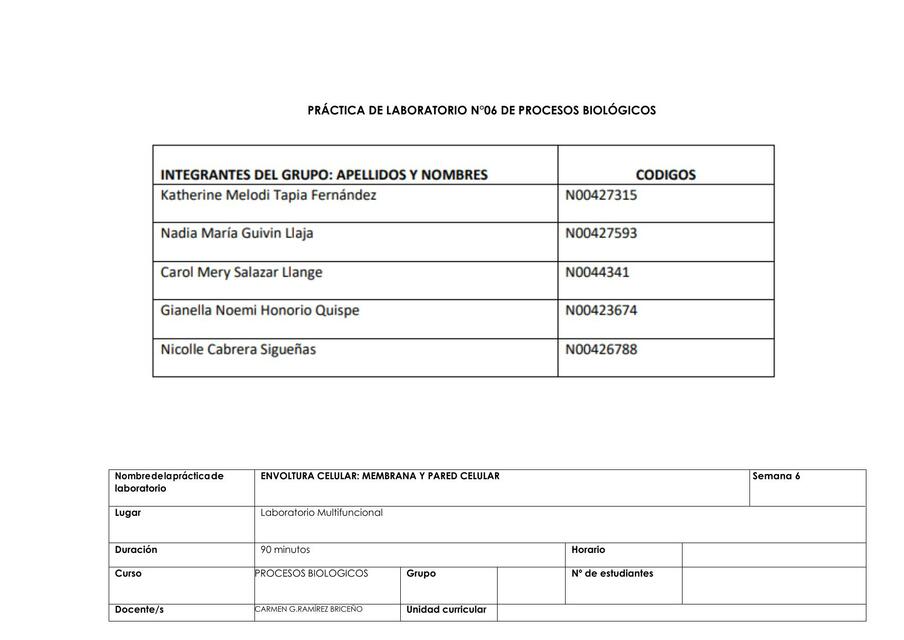 Práctica de laboratorio N 06 copia1