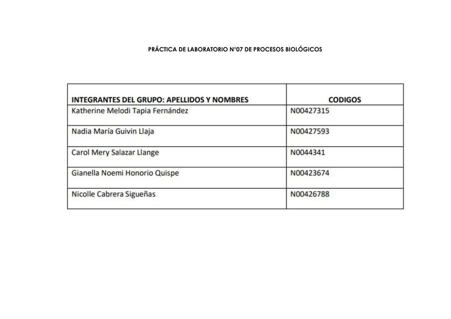 Práctica de laboratorio N 07 1