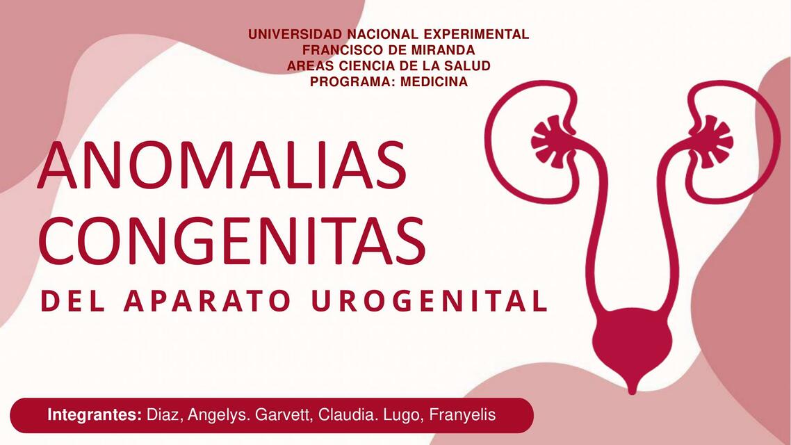 Anomalías Congénitas del Aparato Urogenital