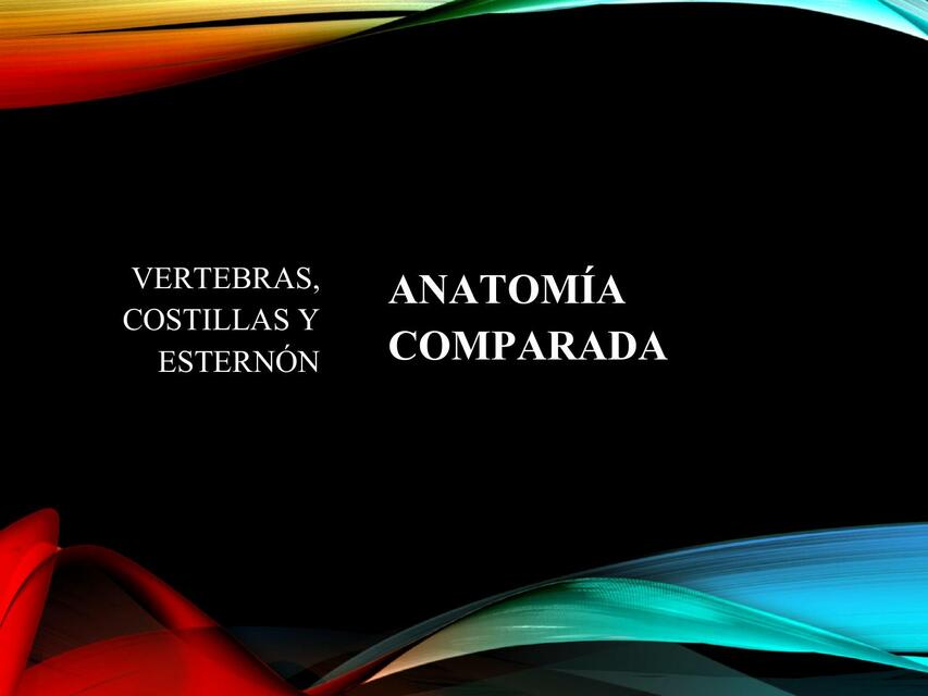 ANATOMIA COMPARADA ESQUELETO AXIAL