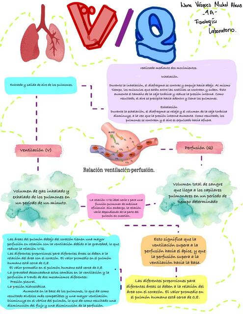 Ventilación Perfusion