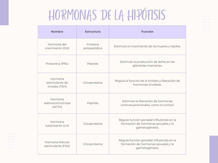 Hormonas de la hipófisis