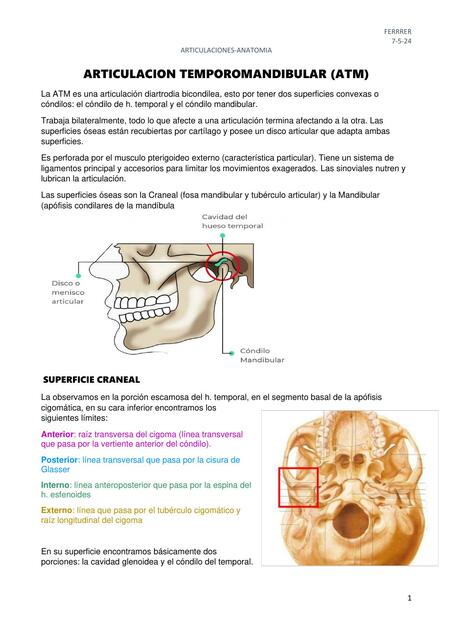 ARTICULACION TEMPOROMANDIBULAR