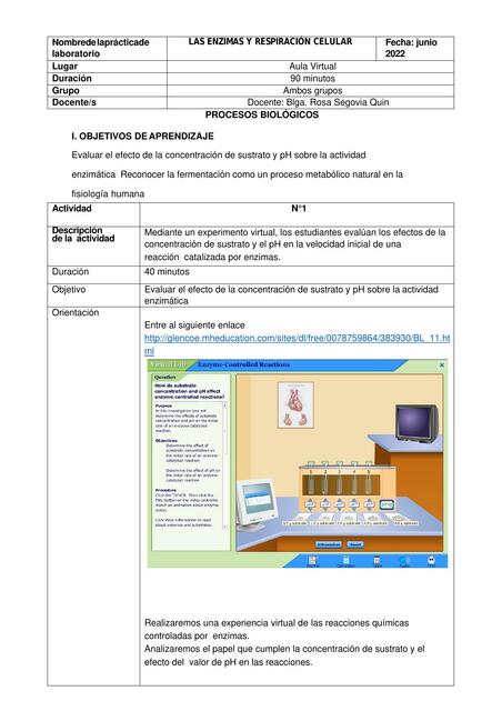 Practica N 10 Enzimas y Respiración celular