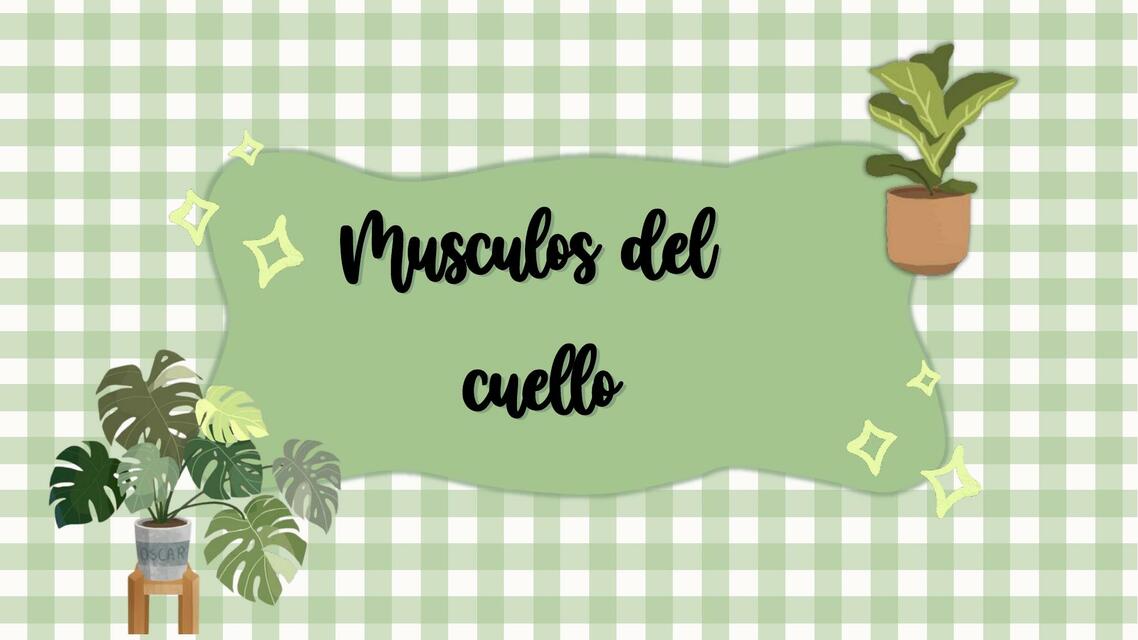 musculos del cuello