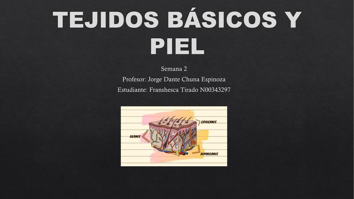 TEJIDOS BÁSICOS Y PIELsemana 2