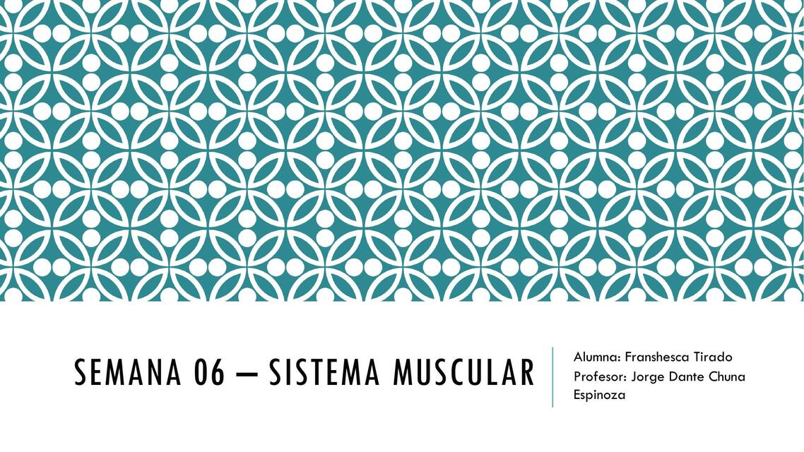 SISTEMA MUSCULAR semana 06