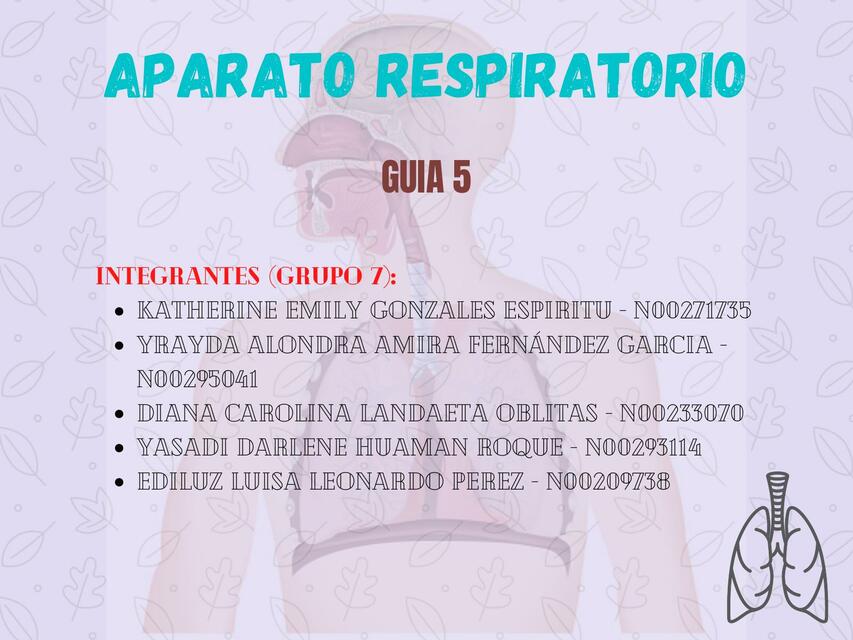 GUÍA 5 APARATO RESPIRATORIO