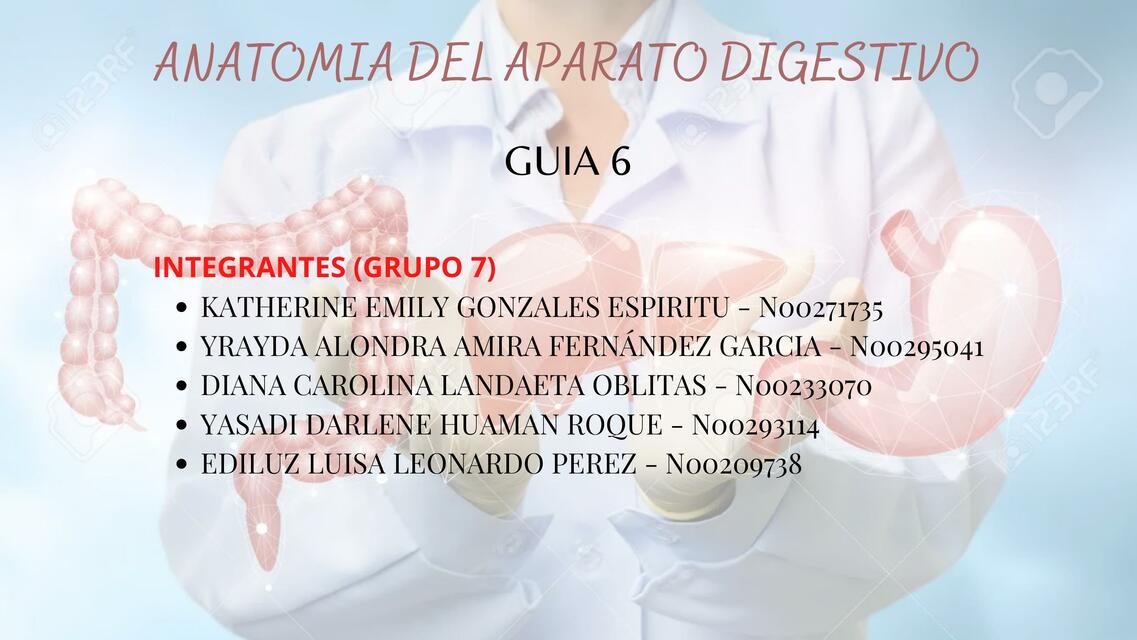 GUIA 6 ANATOMIA DEL APARATO DIGESTIVO 1