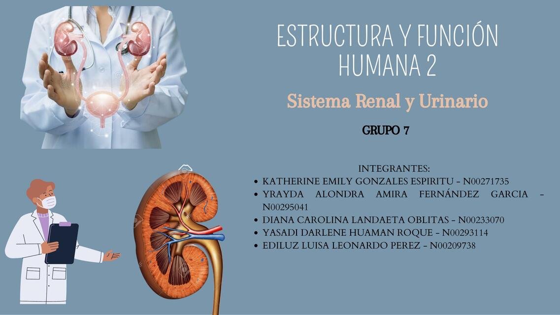 GUIA N 9 SISTEMA RENAL Y URINARIO 1