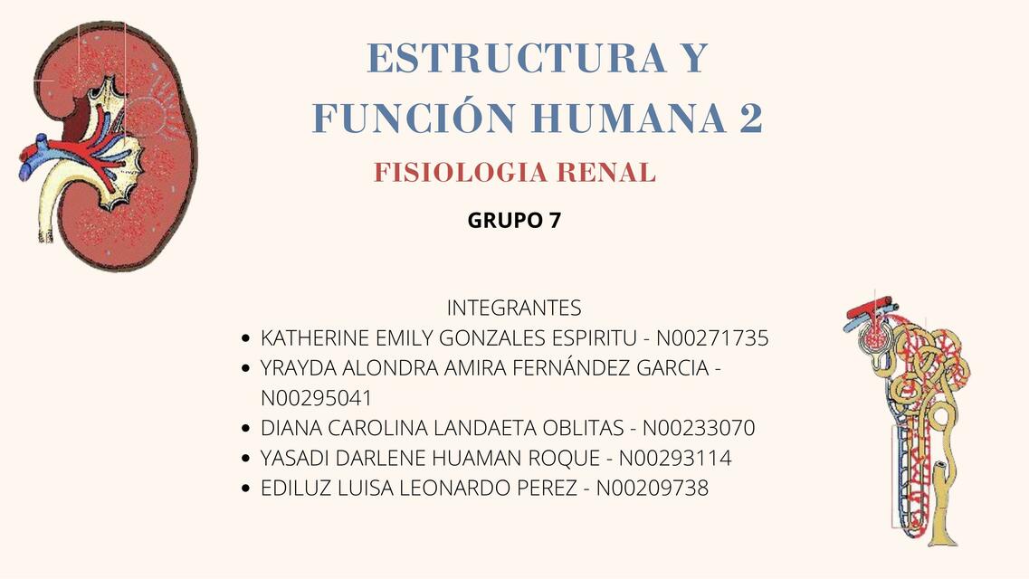 GUIA N10 FISIOLOGIA RENAL