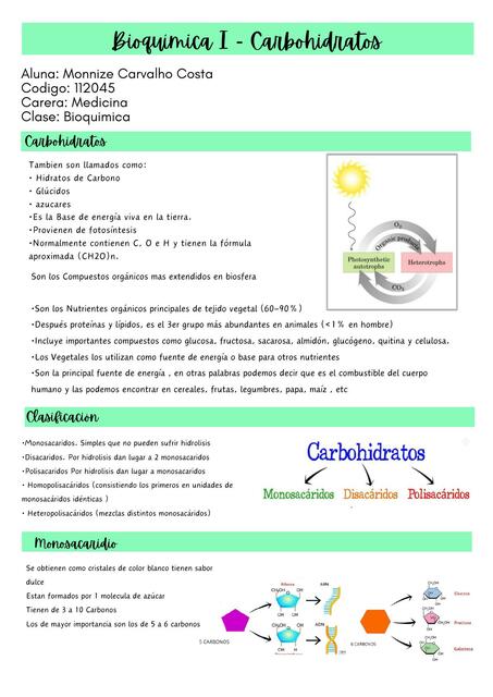 Bioquimica Carbohidratos