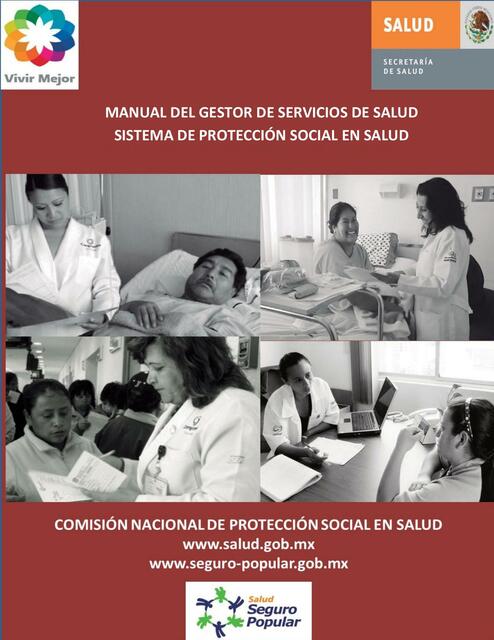 13 Manual del Gestor de Servicios de Salud