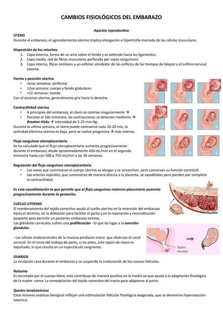 OBSTETRICIA TEMA 2