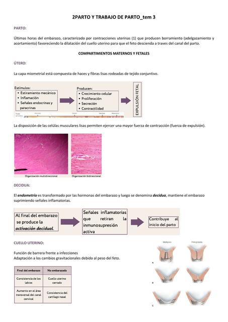 PARTO Y TRABAJO DE PARTO tem 3