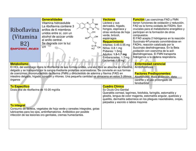 Riboflavina