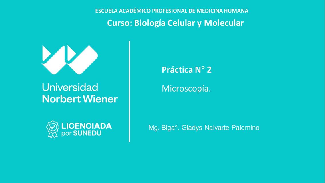 PRÁCTICA 2 MICROSCOPÍA