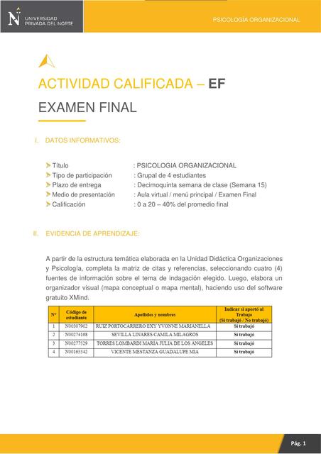 EF Psicologia Organizacional