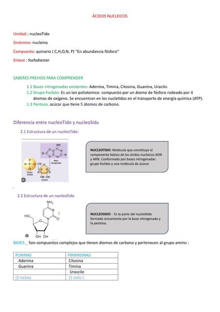 Ácidos nucleicos