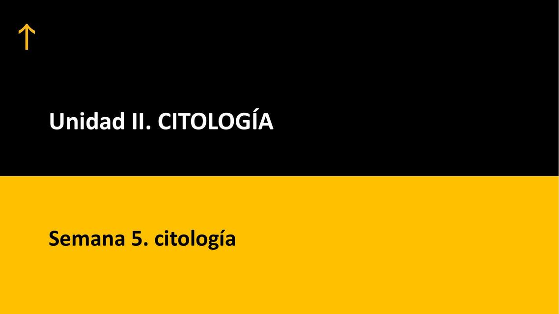 sem 5 Citologia