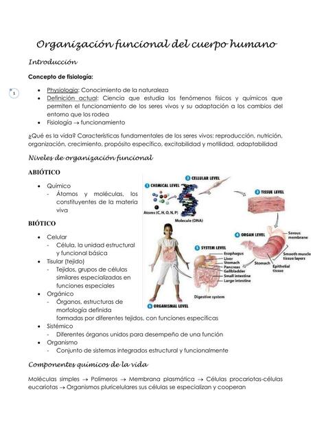 2 Organización funcional del cuerpo humano