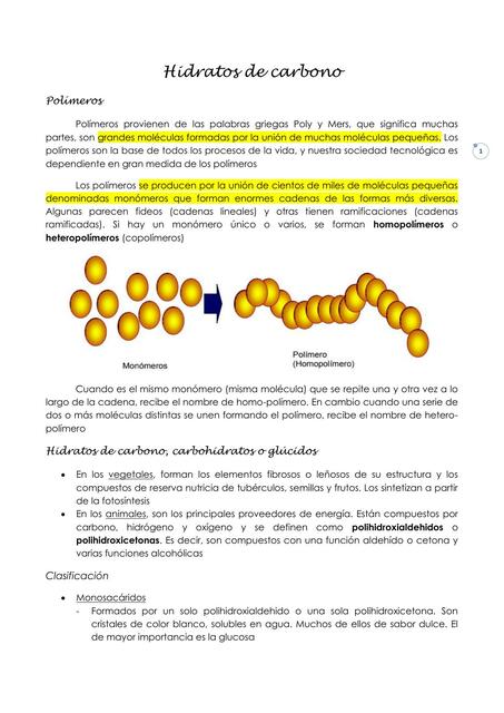 4 Hidratos de carbono