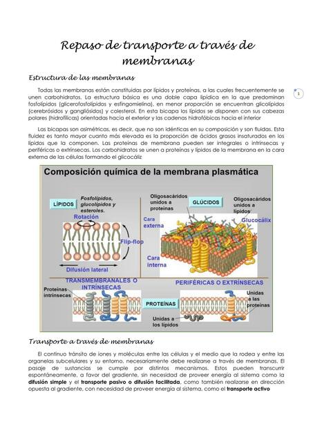 15 Repaso de transporte a través de membranas