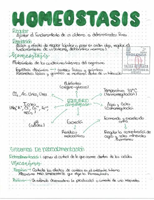 Homeostasis