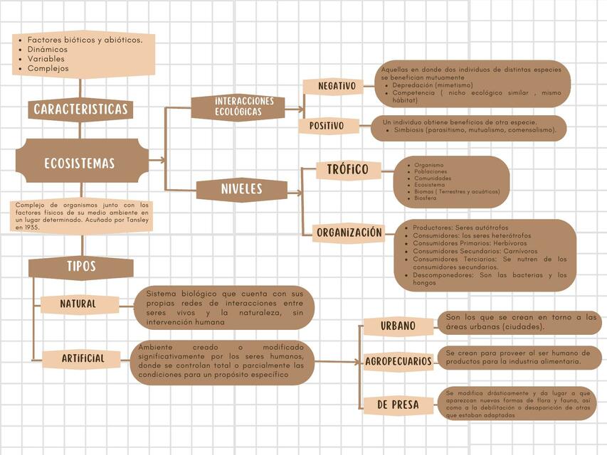 Mapa conceptual Ecosistemas